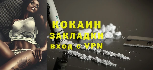 крисы Лагань