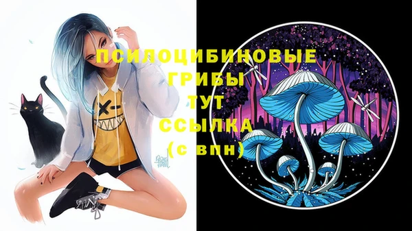 крисы Ладушкин
