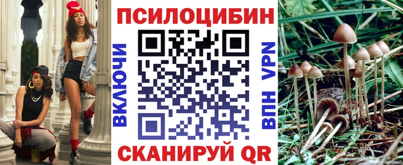 Псилоцибиновые грибы прущие грибы Купить где Знаменск