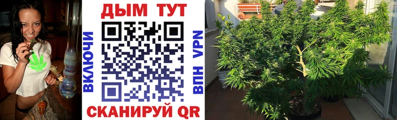 Бошки Шишки MAZAR Купить где Знаменск